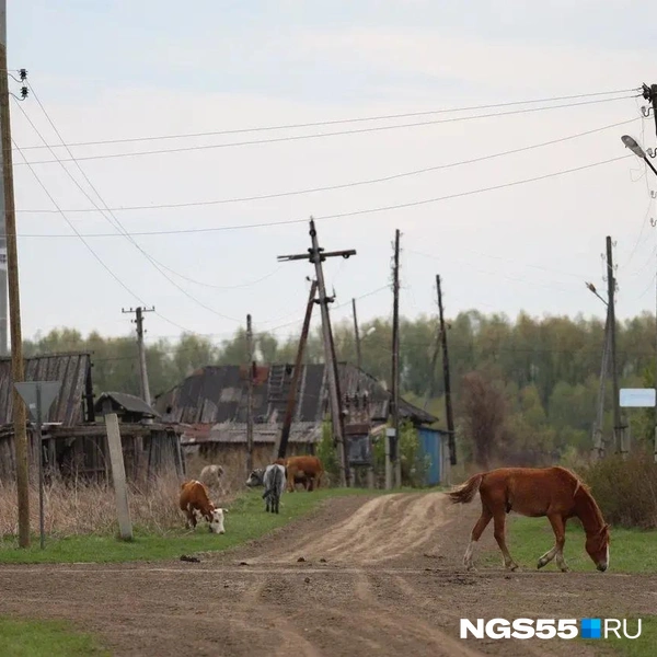 В деревне много пустых домов | Источник: Евгений Софийчук / NGS55.RU
