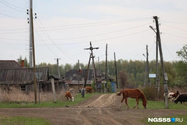 В деревне много пустых домов | Источник: Евгений Софийчук / NGS55.RU
