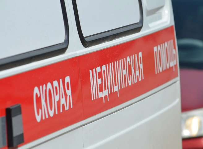 На Южной окружной дороге легковушка врезалась в столб, погибла девушка | ya62.ru