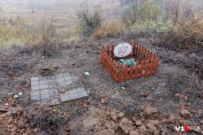 Другие захоронения уцелели лишь чудом | Источник: Алексей Волхонский / V1.RU