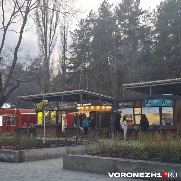 Источник: Алёна Воропаева / Voronezh1.ru