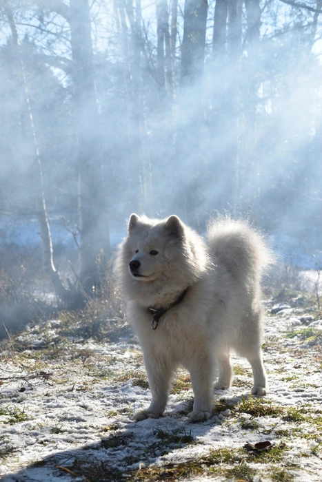 Источник: Анастасия Руднева / Vk.com