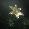 userpic__Линочка
