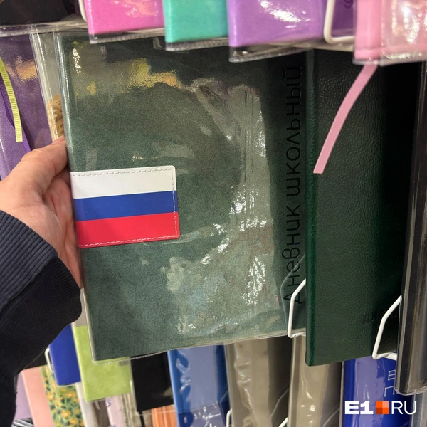 Источник: Владислав Зайцев / E1.RU