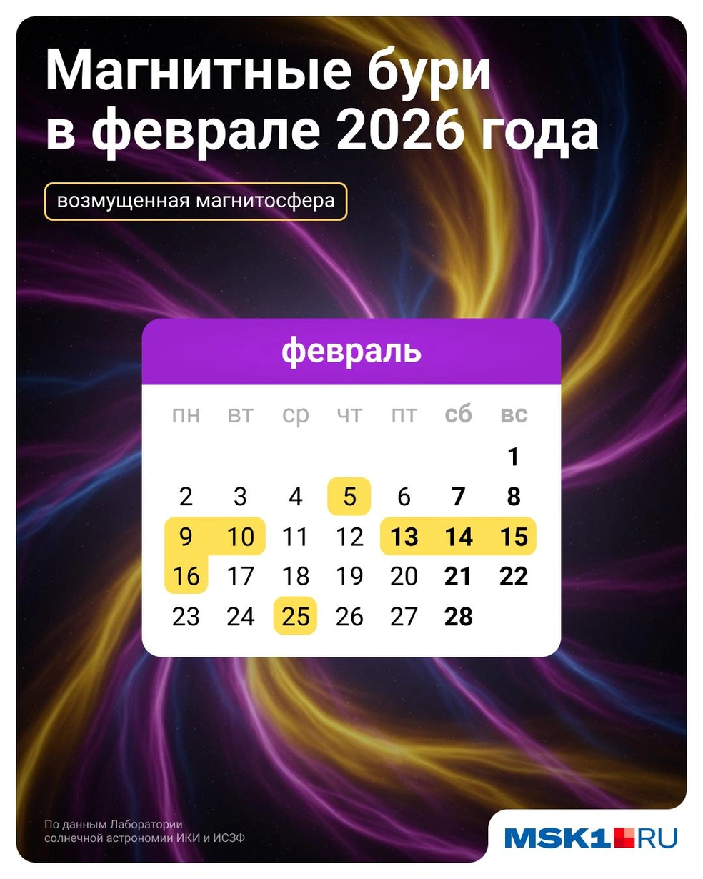 Источник: Евгения Бикунова / Городские медиа