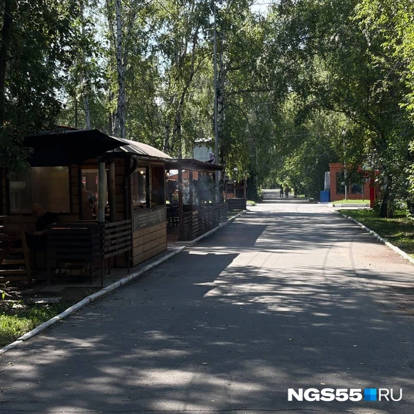 От кафе не скрыться | Источник: Анна Иванина / NGS55.RU