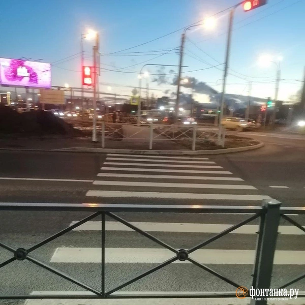 Недоступную «зебру» заметили в Рыбацком. Перепрыгнете или обойдете?  | Источник: читатель «Фонтанки»