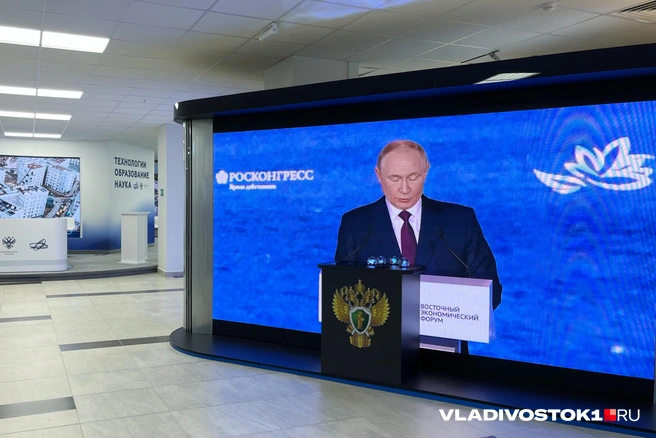 Источник: Елена Буйвол / VLADIVOSTOK1.RU