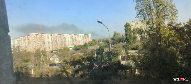 Источник: Читатели V1.RU