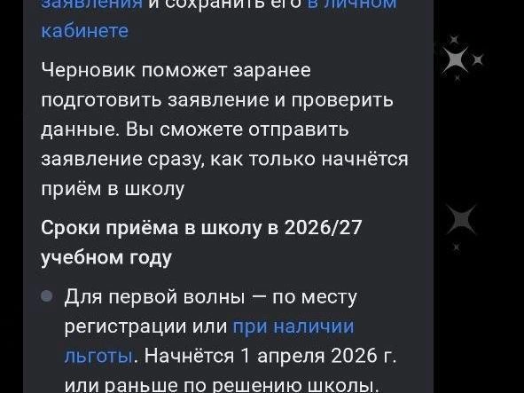 Внешний вид черновика заявления на портале Госуслуги. | Источник: читатель E1.RU