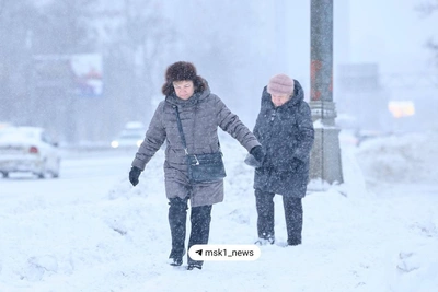 Снегопад от циклона «Валли» затруднил движение в Москве