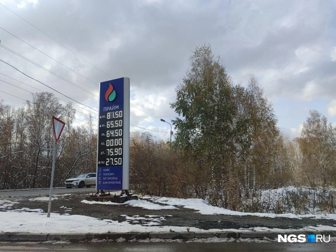 Ни в одной из заправок сети не осталось бензина АИ-92 | Источник: Мария Тищенко / NGS.RU