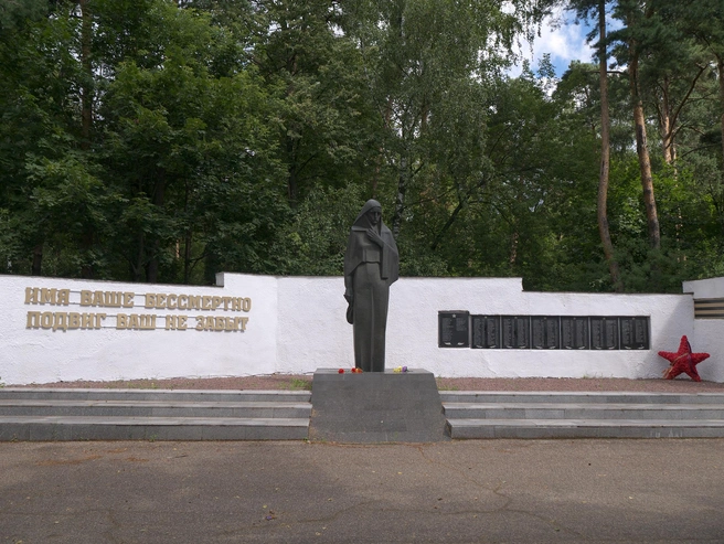 Братская могила советских воинов на городском кладбище в Раменском | Источник: Vitaliy VK / wikimedia.org