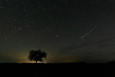 Метеорный поток Геминиды: до 120 вспышек в час