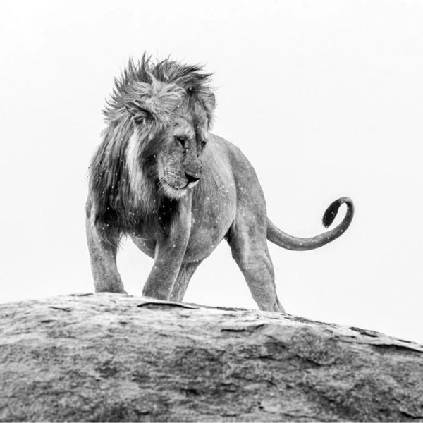 Источник: Sibylle Brodmann / Exposure One Awards 2025