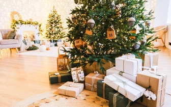 Психологическая ловушка новогодних подарков: учёные выяснили, что лучше не дарить на праздник близким, чтобы не разочаровать их