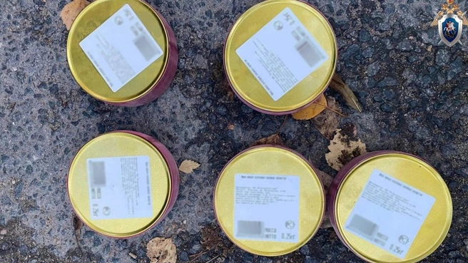 Источник: ГСУ СК России по Санкт-Петербургу