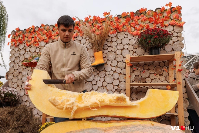 Перед тем как отдавать ее в руки толпы, бахчевод заботливо срезал часть с семечками | Источник: Алексей Волхонский / V1.RU