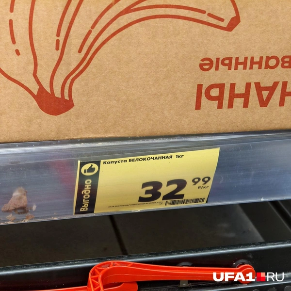 Источник: Булат Салихов / UFA1.RU