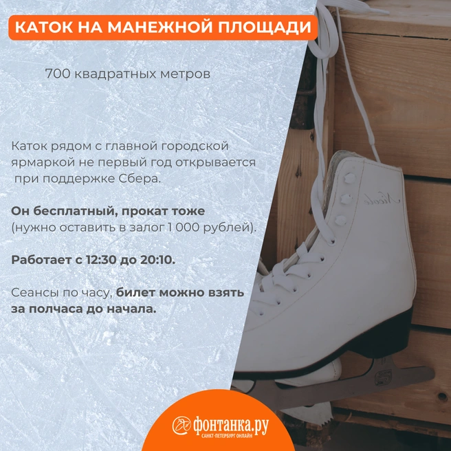 Источник: Светлана Григошина / «Фонтанка.ру»