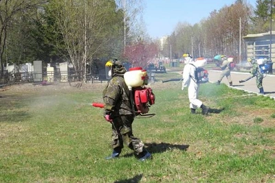 В Хабаровске начался сезон активности клещей