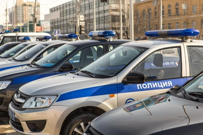 Сибирячку оштрафовали за нападение на инспектора при изъятии детей