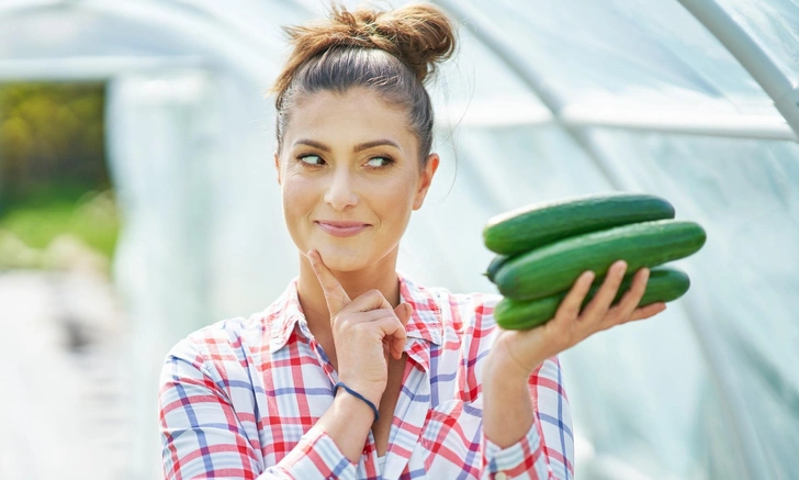 Польза огурцов: роль кремния для кожи и организма | Источник: iStockphoto/macniak