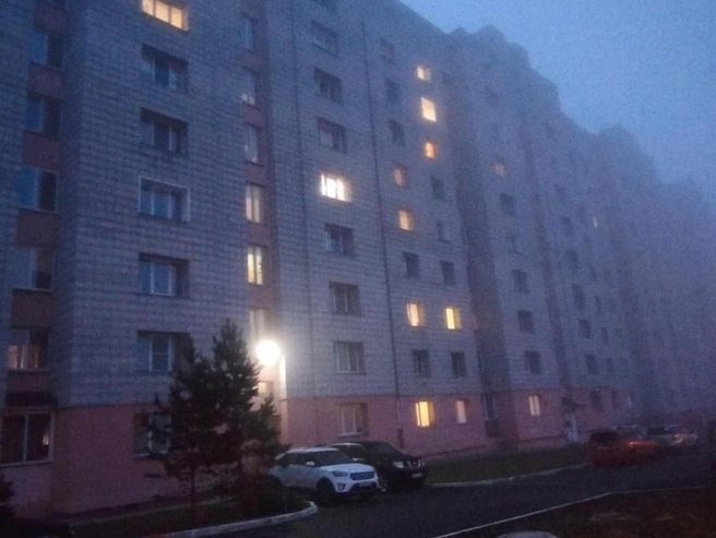 В момент нападения у жителя Новосибирска, согласно неподтвержденным данным, забрали телефон. | Источник: Евгений Шелестов/2ГИС