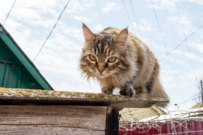 Погода на Дону 20 марта: ветрено, но без дождя