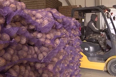 Цены на овощи по авансированию проверили в Костромской области