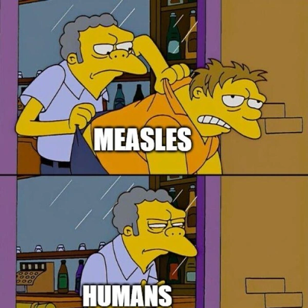 КорьЧеловечествоКорь, вернувшаяся из-за антипрививочников | Источник: Соцсети