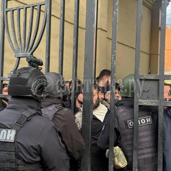 Источник: Милена Солдатенко / FONTANKA.RU