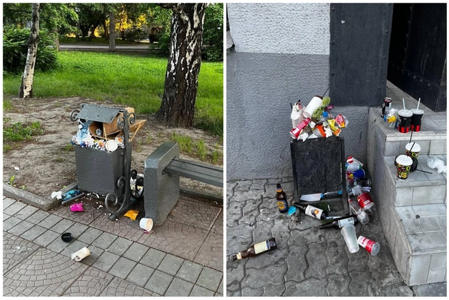 Мария отметила, что, несмотря на переполненные урны, жители все равно стараются складывать мусор рядом с ними | Источник: читательница НГС