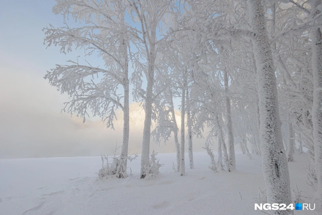 Теперь привычное | Источник: Мария Ленц / NGS24.RU