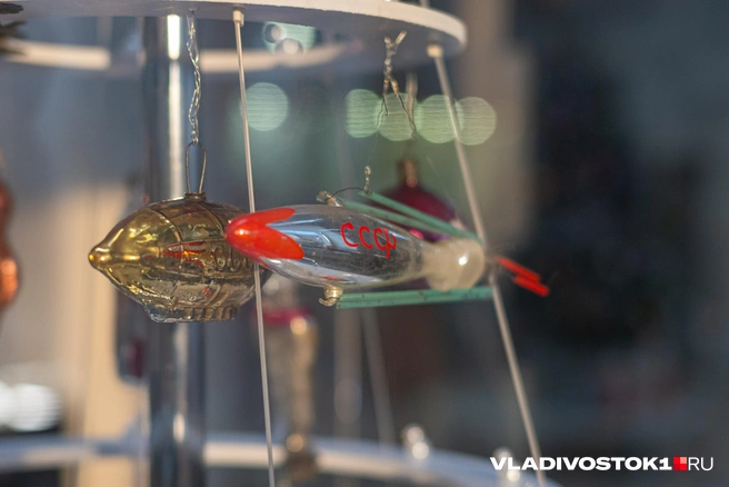 Источник: Елена Буйвол / VLADIVOSTOK1.RU