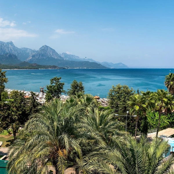 Источник: WR7/Shutterstock/Fotodom.ru