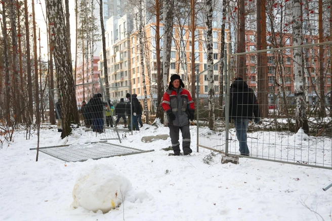 Активисты настаивают на полном сохранении Березовой рощи и присвоении ей особого статуса | Источник: Владислав Лоншаков / E1.RU