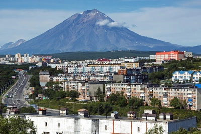 В Камчатском крае запустили сервис отслеживания общественного транспорта