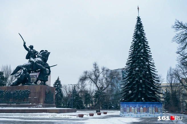 Источник: Евгений Вдовин / 161.RU