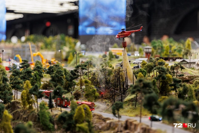 Тушение лесного пожара | Источник: Ирина Шарова / 72.RU