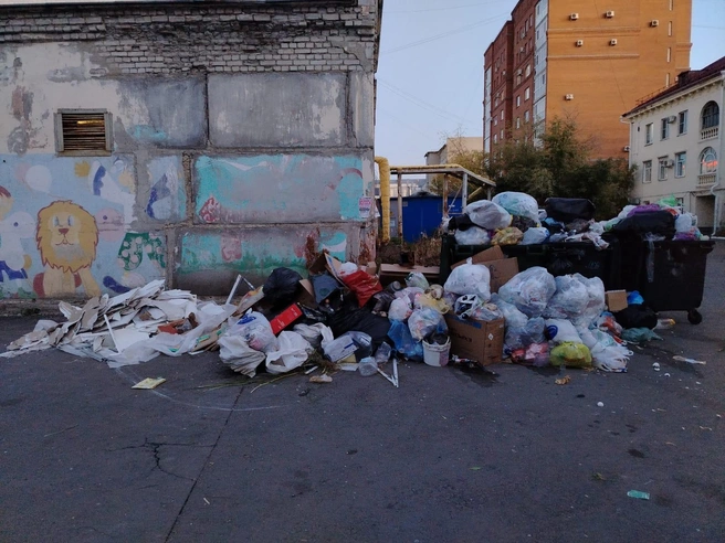 Такая гора мусора скопилась у дома № 14 по улице Ленина в центре города | Источник: читатель 45.RU