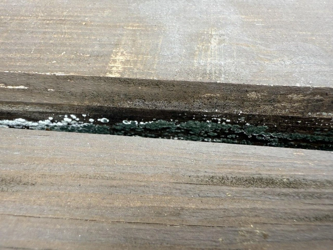 Крыльцо нового дома уже покрылось плесенью | Источник: Елена Саракуло