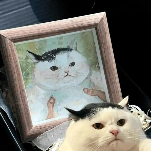 Источник: соцсети