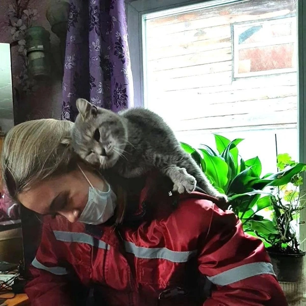 Источник: станция скорой медицинской помощи Барнаула
