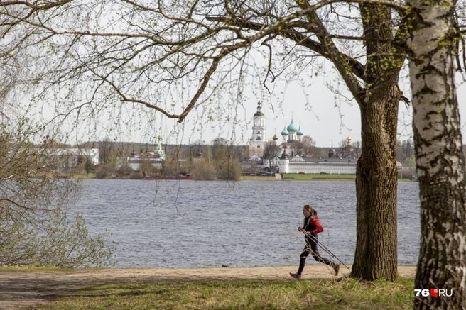 Люди переживают, что благоустройство нанесет вред памятнику природы | Источник: Александра Мамонтова