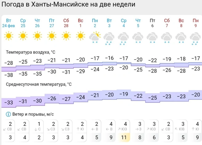 Прогноз погоды в Ханты-Мансийске | Источник: Gismeteo 