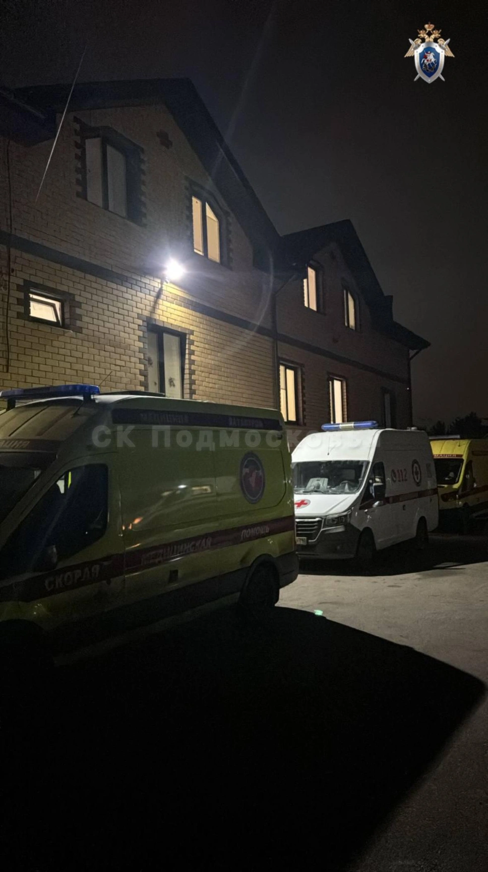 Следственный комитет возбудил уголовное дело | Источник: СК Подмосковья / Telegram