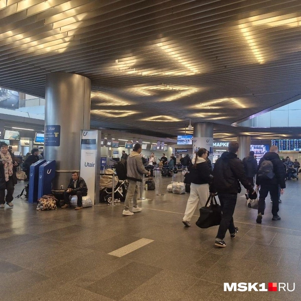 Источник: Софья Рябикина / MSK1.RU