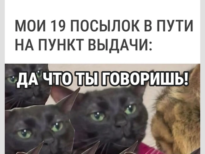 Эти ребята — причина финансовой дыры в бюджете | Источник: Городские медиа