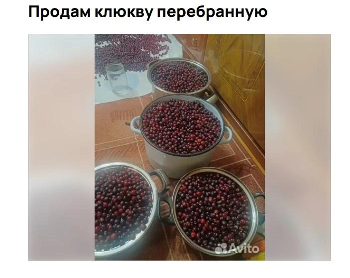 Источник: Авито / Avito.ru